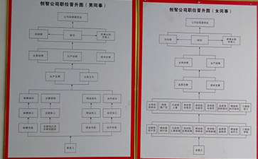 创智晋升图